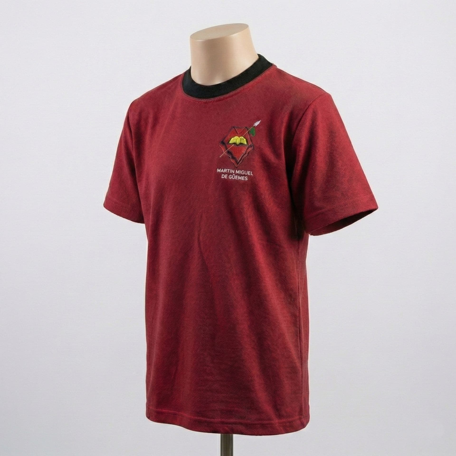 Remera de Clase | Martin M. de Güemes